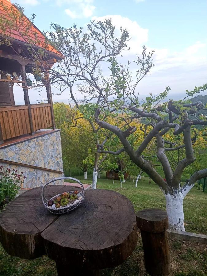 Kuca Za Odmor Poljanica Okicka Villa ยาสเตรบาร์สโก ภายนอก รูปภาพ
